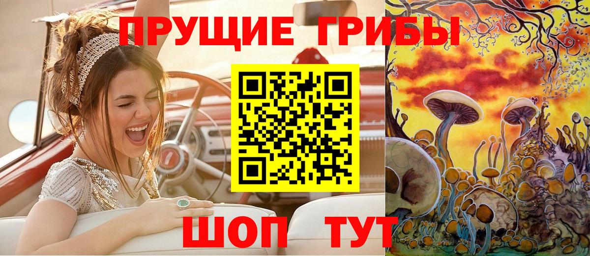 Новый Уренгой  Галлюциногенные грибы Psilocybine cubensis  Вход с VPN 